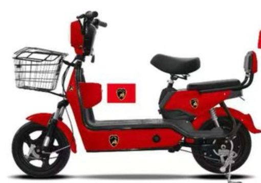 e-bike-1764612193097-1-1-1-2.jpg
