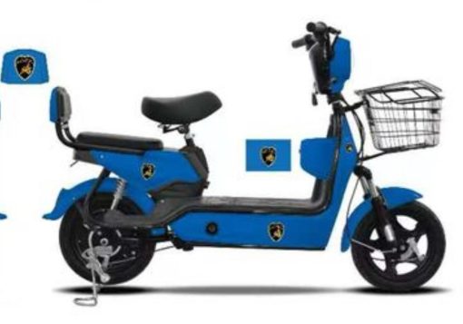 e-bike1-1764612194700-1-1-1-2.jpg