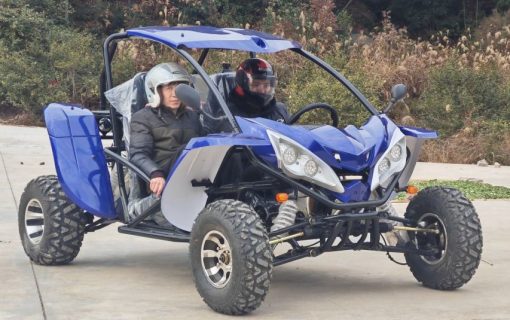 go_cart-1764612928980-1-1-1-1.jpg